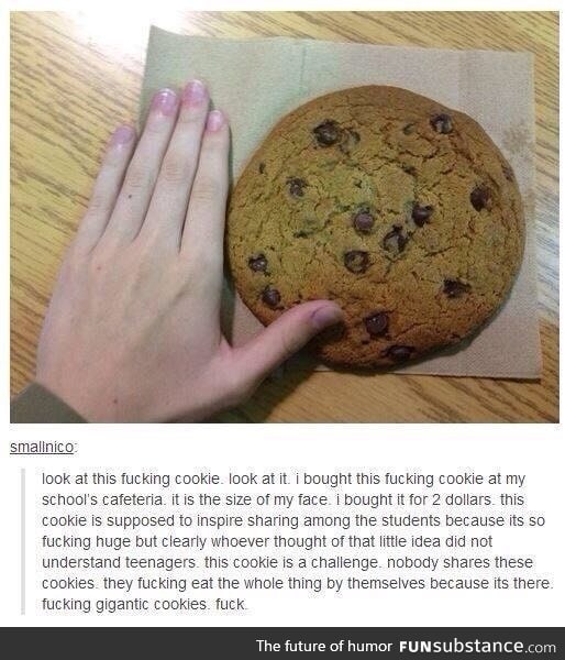 I want it. I would like that cookie right now.