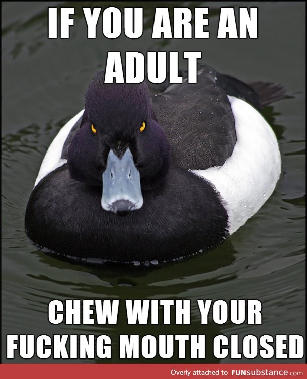 Angry advice duck