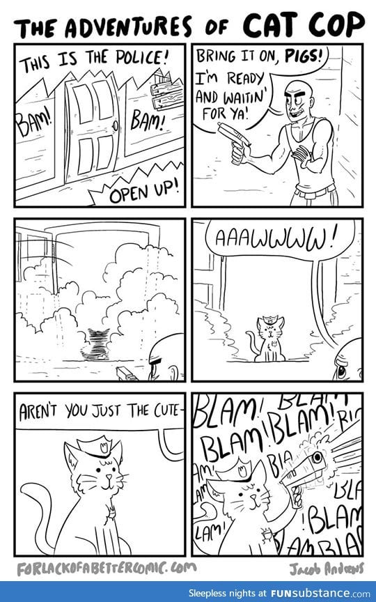 The adventures of cat cop