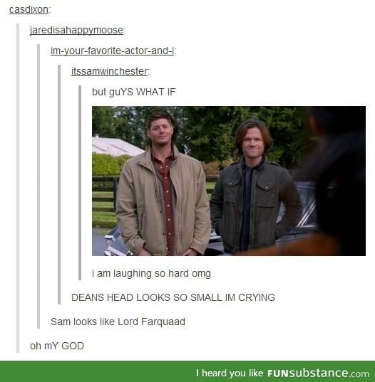 Weird, you could say it's supernatural