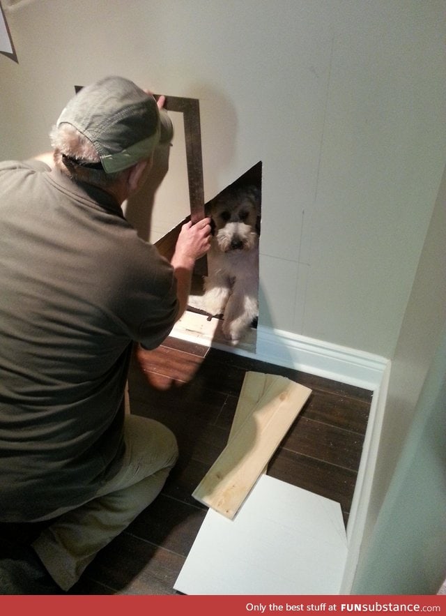 My dad is building him a house under the stairs and he won't leave it