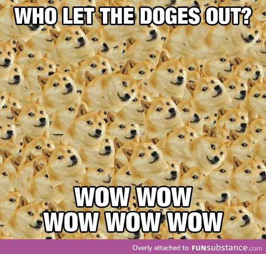 Who let the doges out?!
