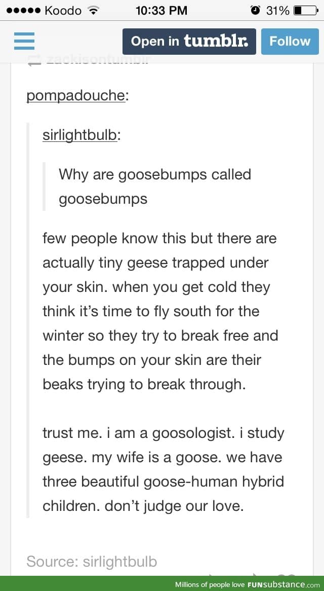 Trust me, I'm a goosologist
