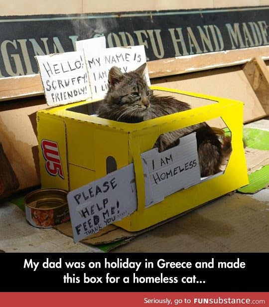 Homeless cat box