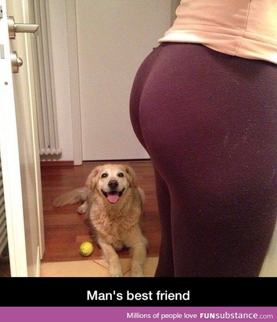 Men's best friend