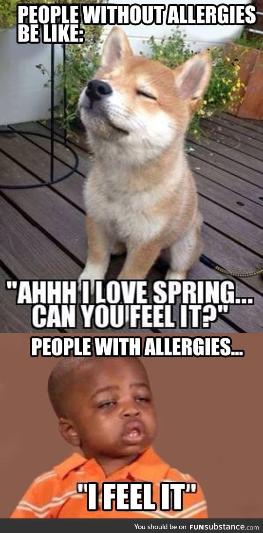 Ugh, allergies -.-