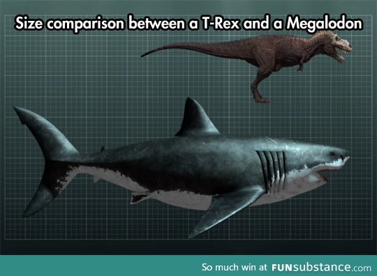 And Still Not As Big As a Blue Whale
