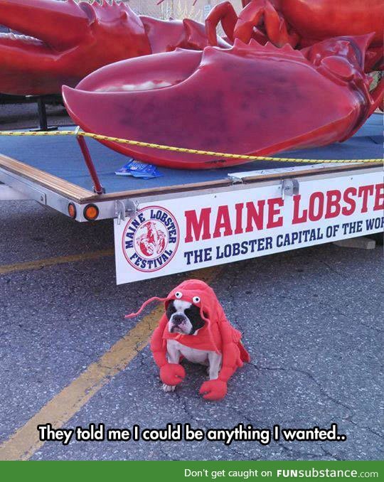 Lobster dog