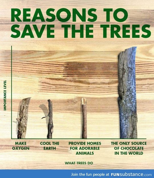 Reasons to save trees