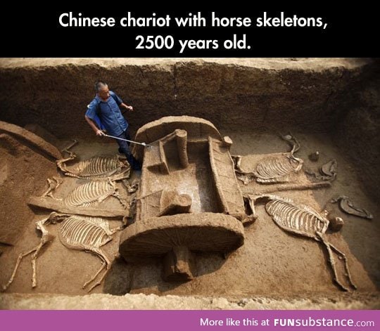 Amazing findings in china