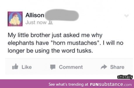 Horn mustaches