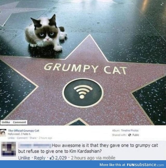 Because grumpy cat deserves it.