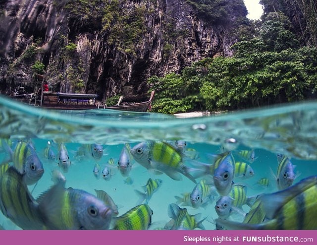 Underwater Life of Poda Island, Thailand