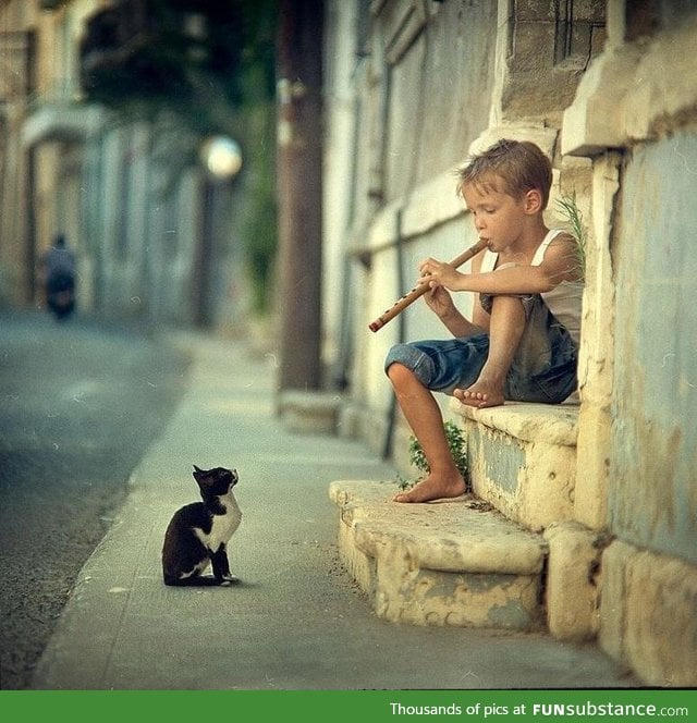 Little boy playing flute to a cat