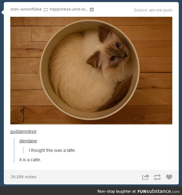 It's a catte