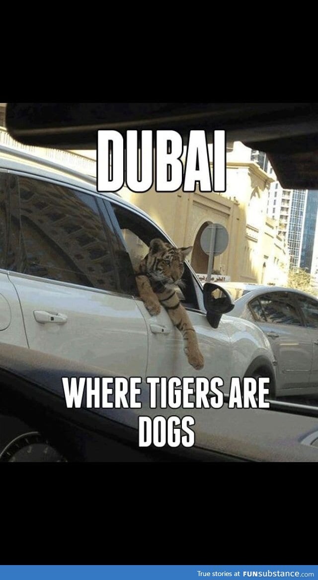 Meanwhile in Dubai