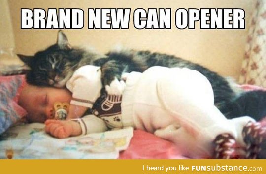The only real reason why cats snuggle with babies