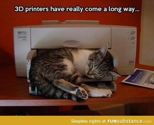 3d printed cat