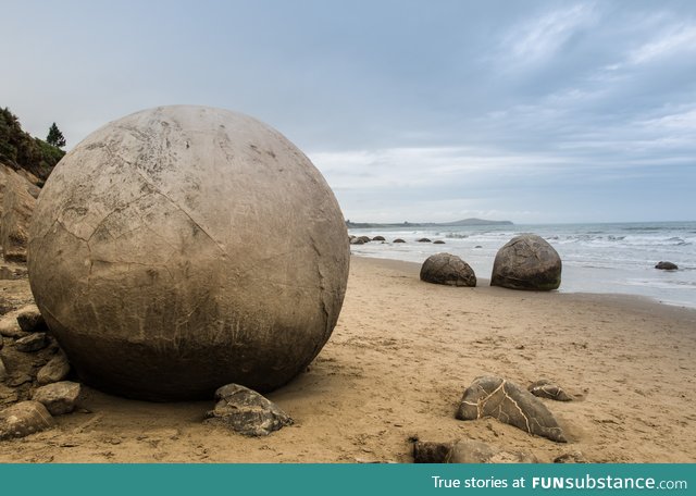 The naturally forming spherical boulders at Moeraki, New Zealand