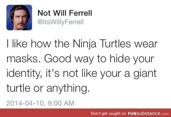 Ninja turtles mask