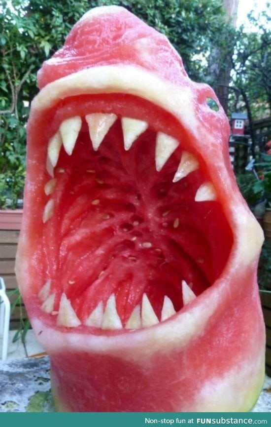 Shark melon