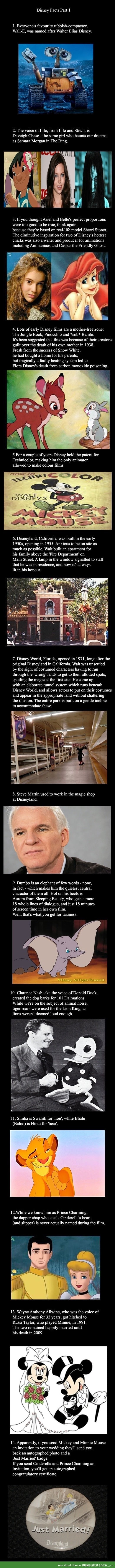 Disney fact comp