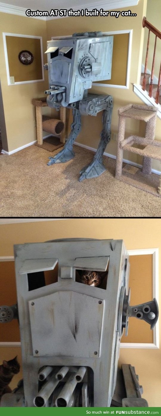 Cat playhouse level: Star wars