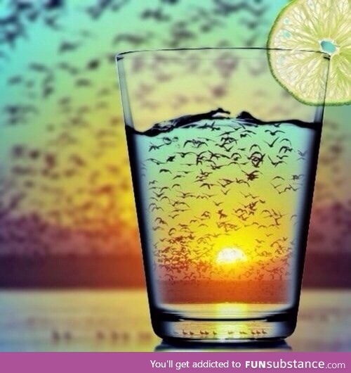 Drink the sunset