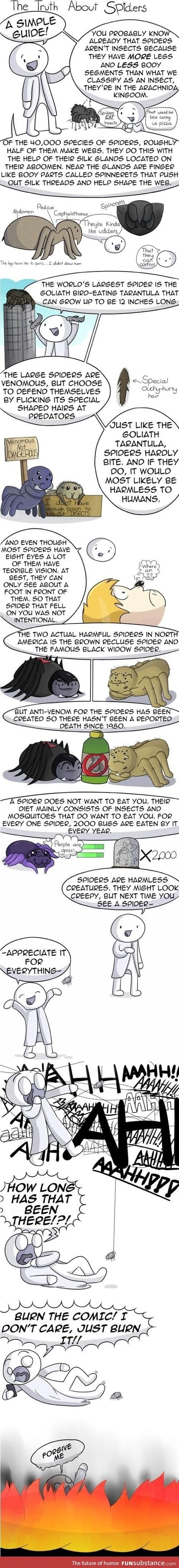 A little study about spiders...