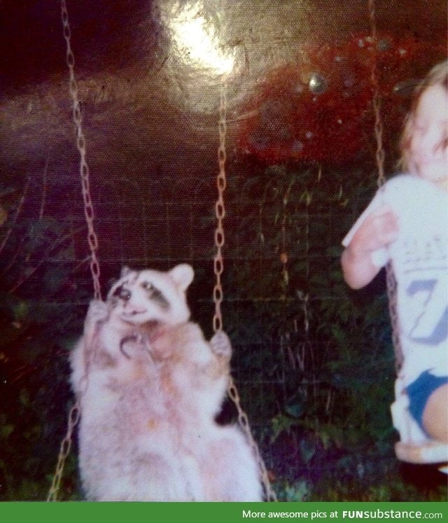 Just found out my mother had a pet raccoon growing up