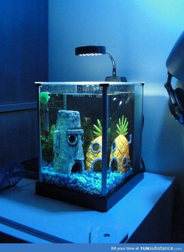 Spongebob aquarium