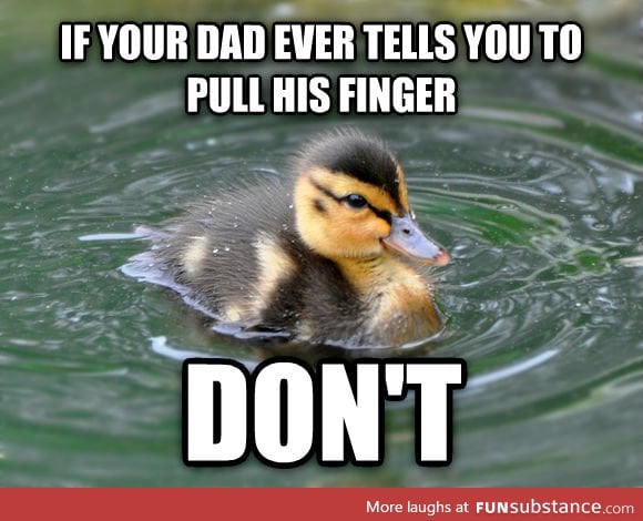 Actual advice duckling