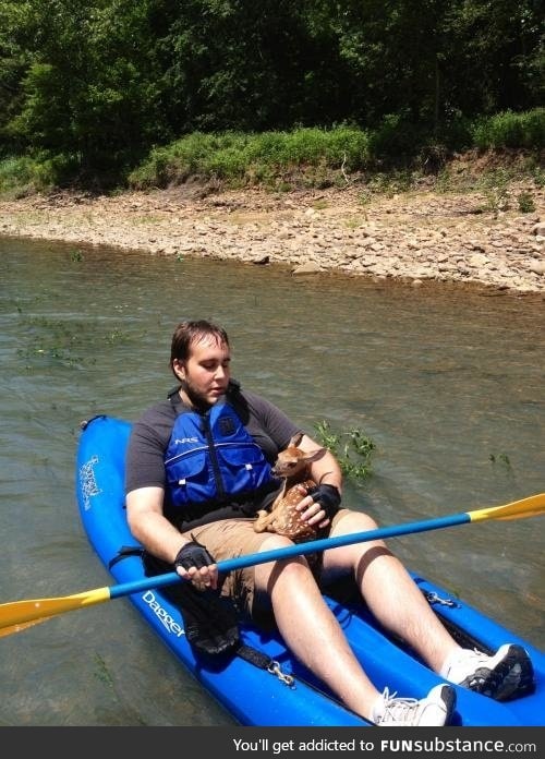 guy saved a tiny deer from a swift rapid while kayaking