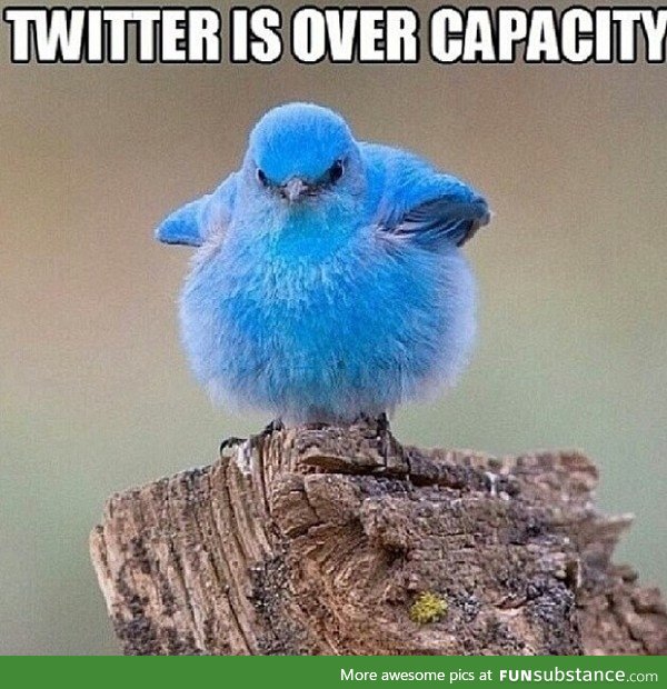 Twitter is over capacity