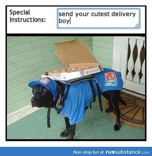 Cute delivery boy