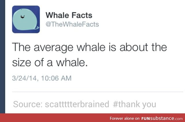 Whale facts