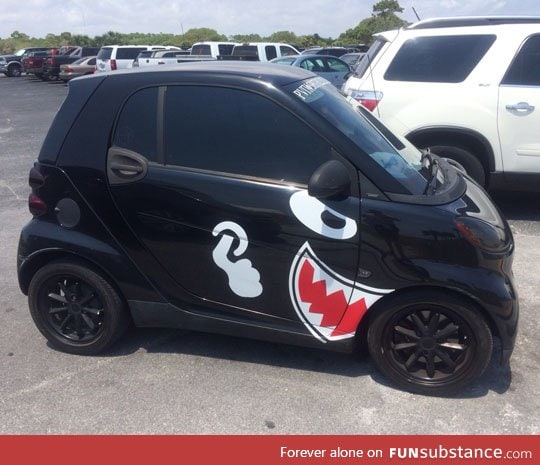 This guy found the right decals for his car