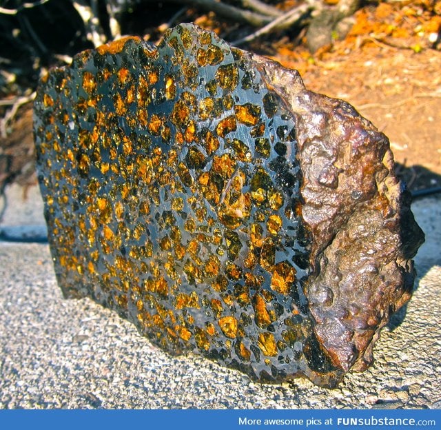 Sliced meteorite