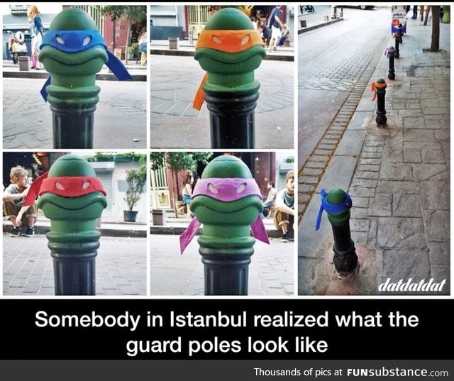 Ninja poles