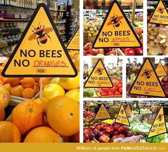 If bees go extinct