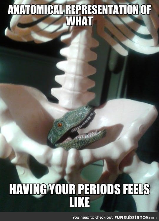 What having your periods feels like