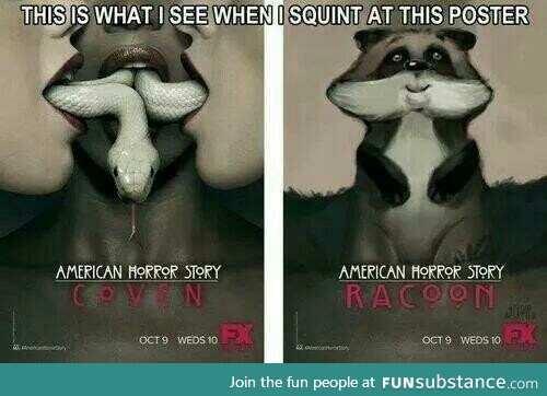 American horror story: Raccoon?