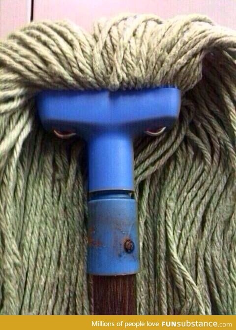 This mop looking so angry