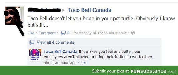 Taco bell on turtles