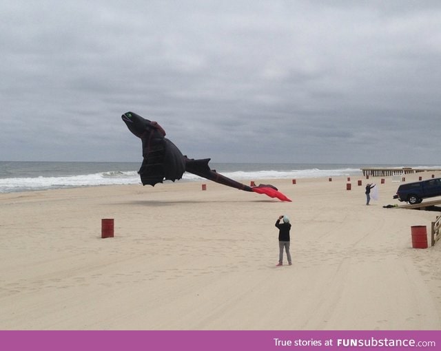 Saw this awesome toothless kite on the beach