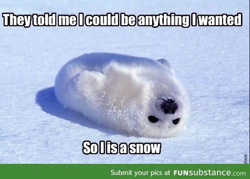 I is snow