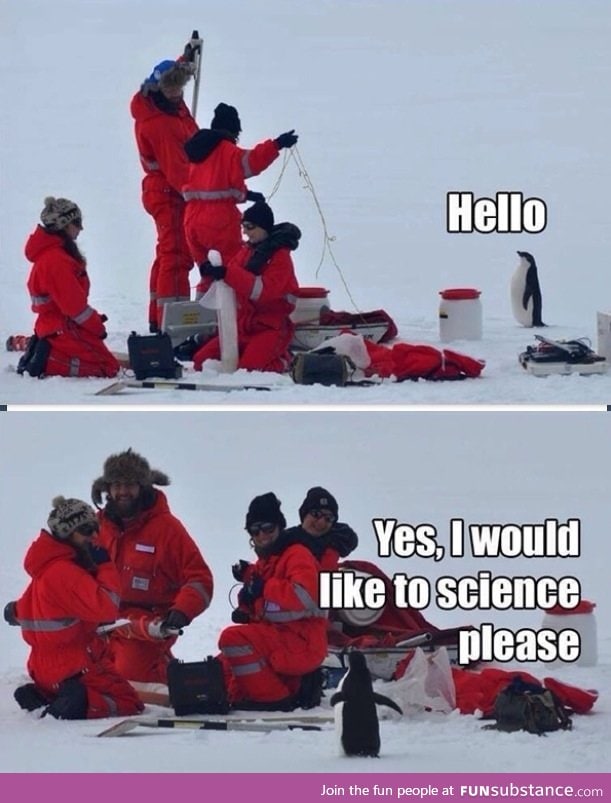 Science Penguin