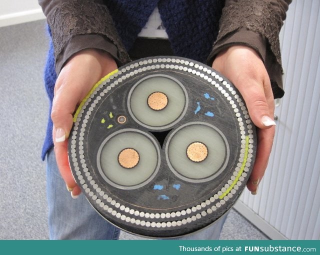 Cross Section of Undersea Cable