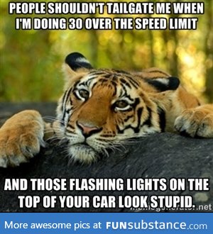 Confession tiger on driving