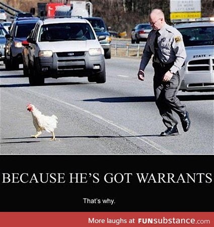 Why did the chicken cross the road?